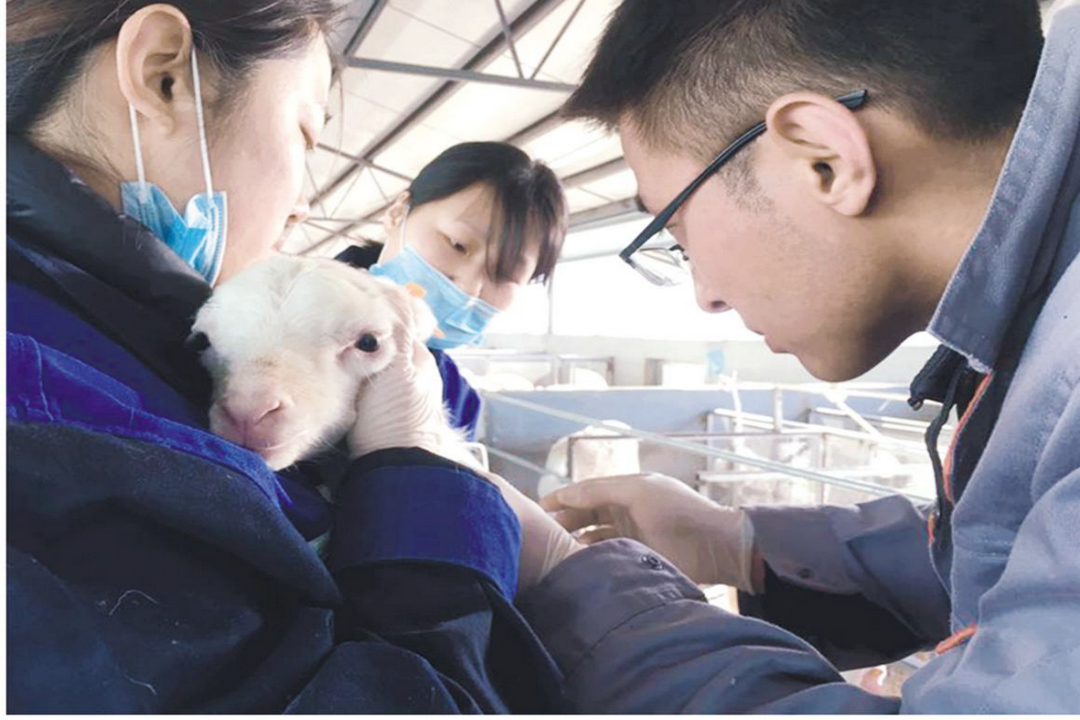 當好產(chǎn)業(yè)扶貧主力軍，打贏脫貧攻堅戰(zhàn)